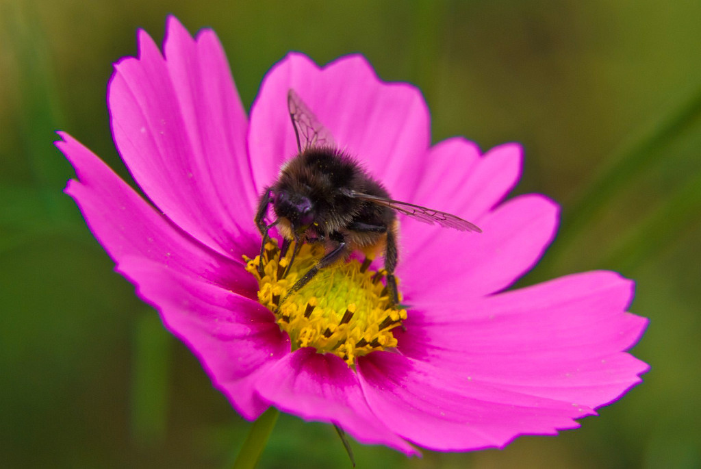 08.09.2008 - Spätsommer