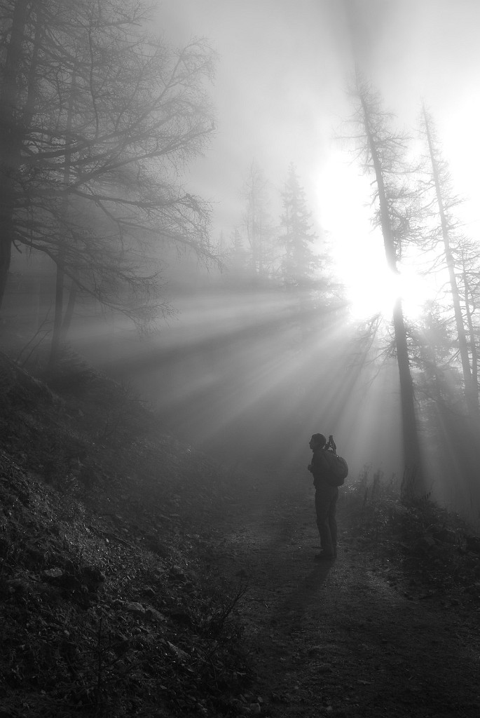 22.11.2008 - Kurz vor der Sonne