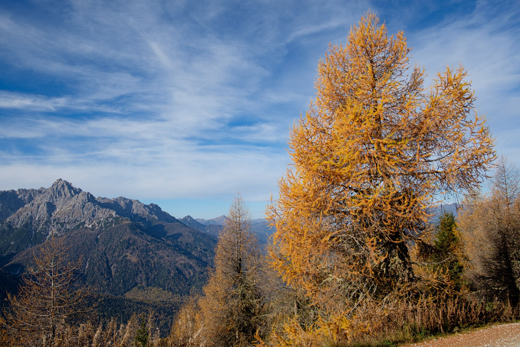 27.10.2022 - Herbst am Helm