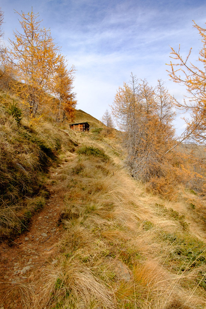 31.10.2022 - Grumauerberg