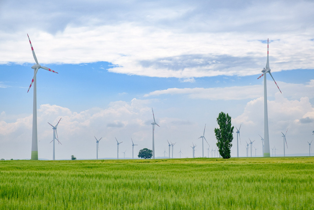 10.06.2023 - Windpark bei Carnuntum