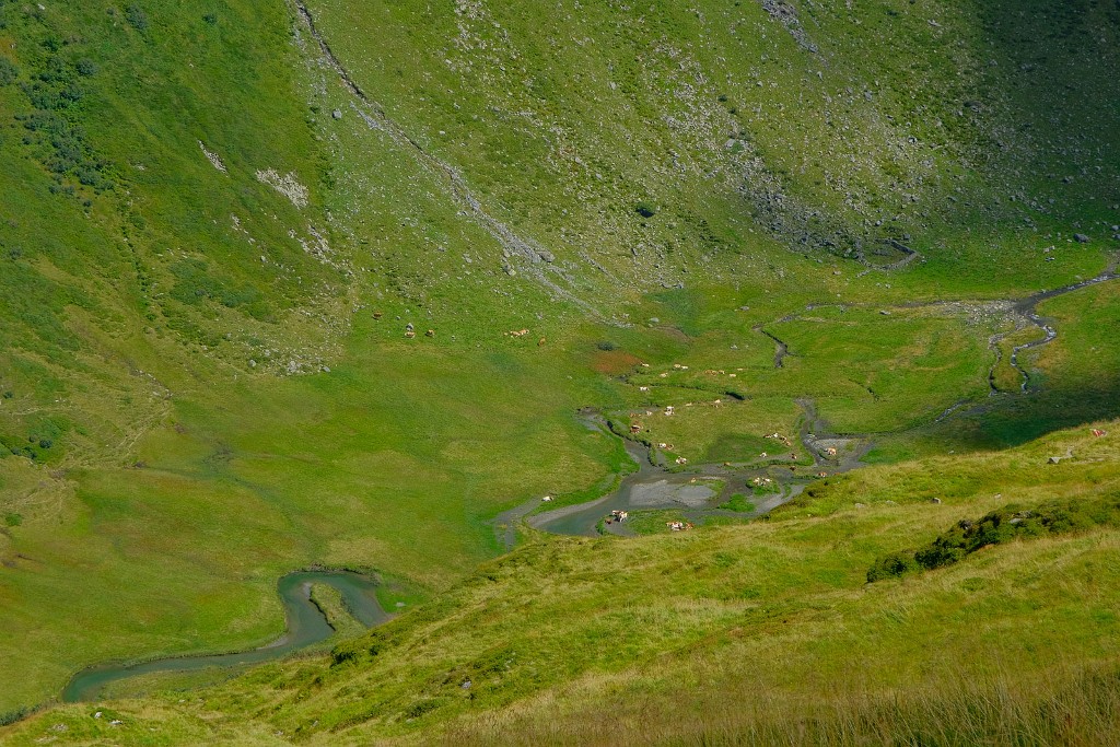 26.08.2026 - Holllersbachtal