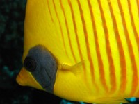 2008-08-02_p9021401