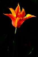 2024-04-13_DSCF5379
